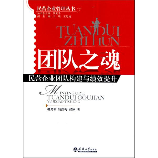 團隊之魂：民營企業團隊構建與績效提升