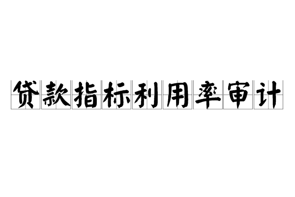 貸款指標利用率審計