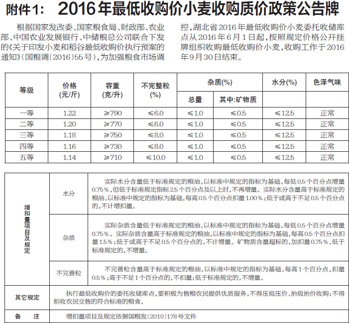 小麥國家質量標準