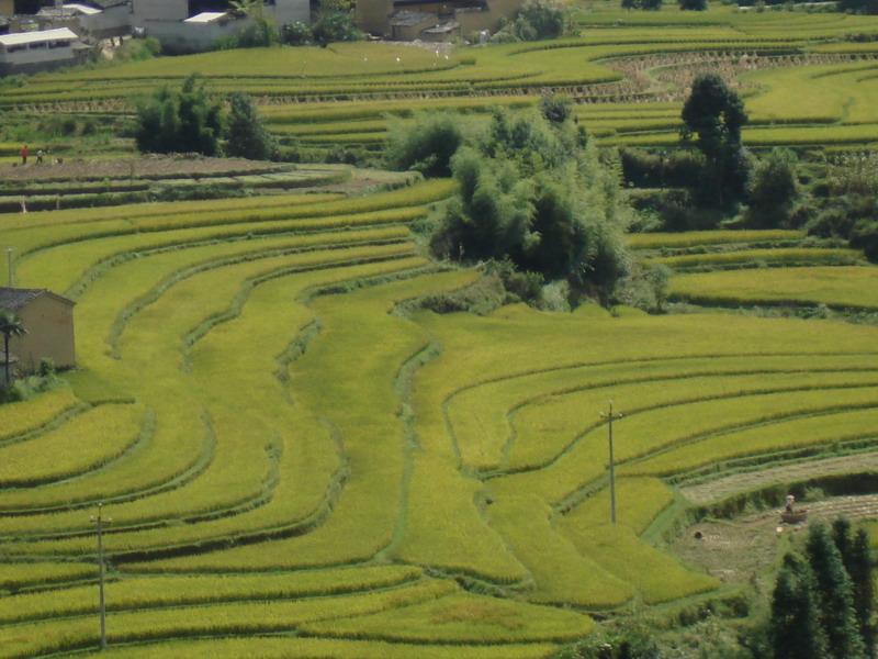 團山自然村