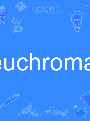 euchromatin