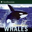 Whales(2006年HarperCollins出版的圖書)