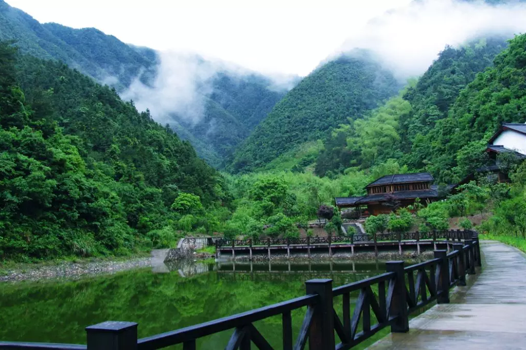 桐廬天子地森林康養基地