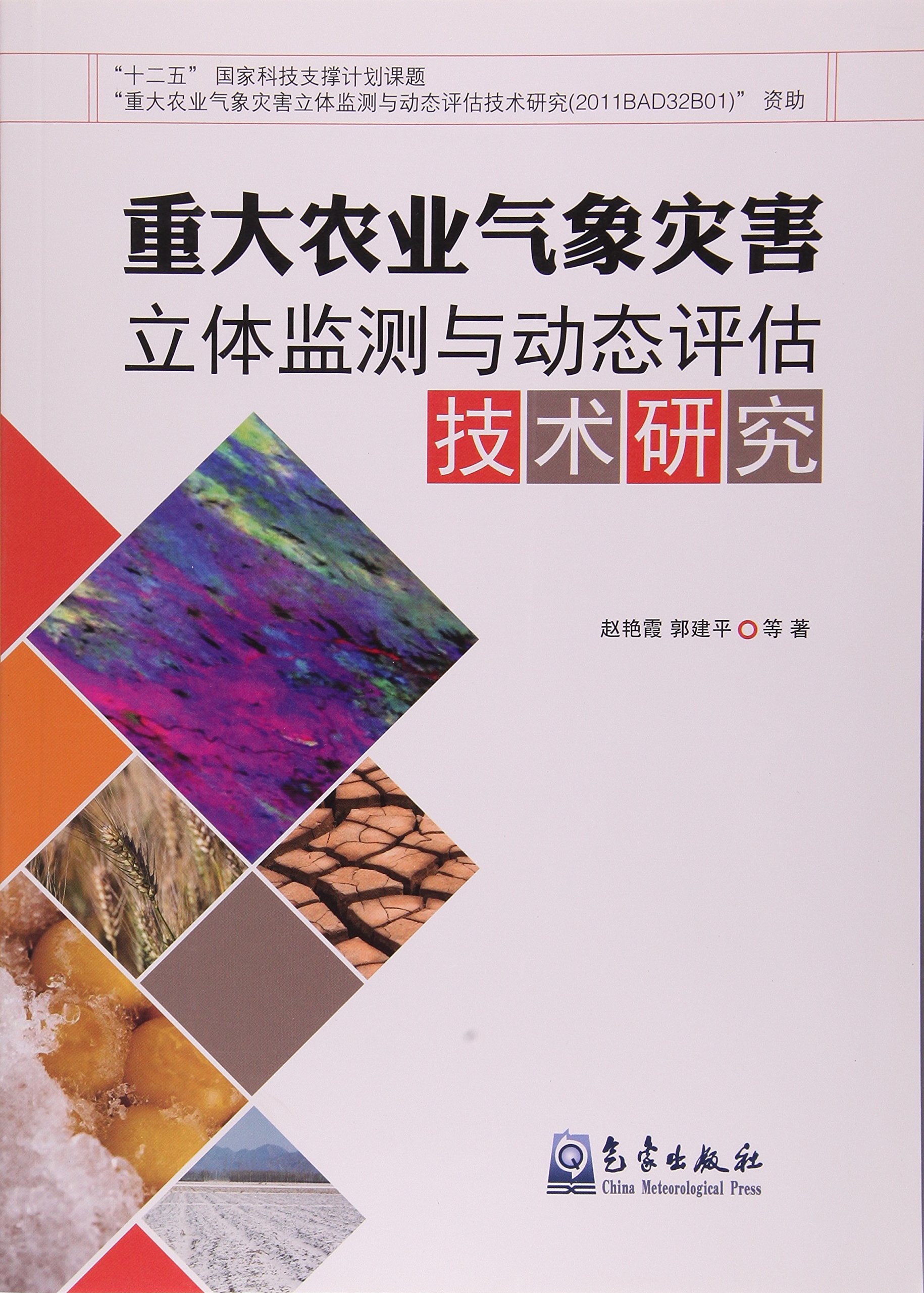 重大農業氣象災害立體監測與動態評估技術研究