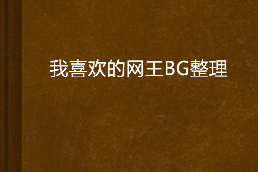 我喜歡的網王BG整理