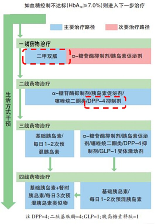 西格列汀二甲雙胍片