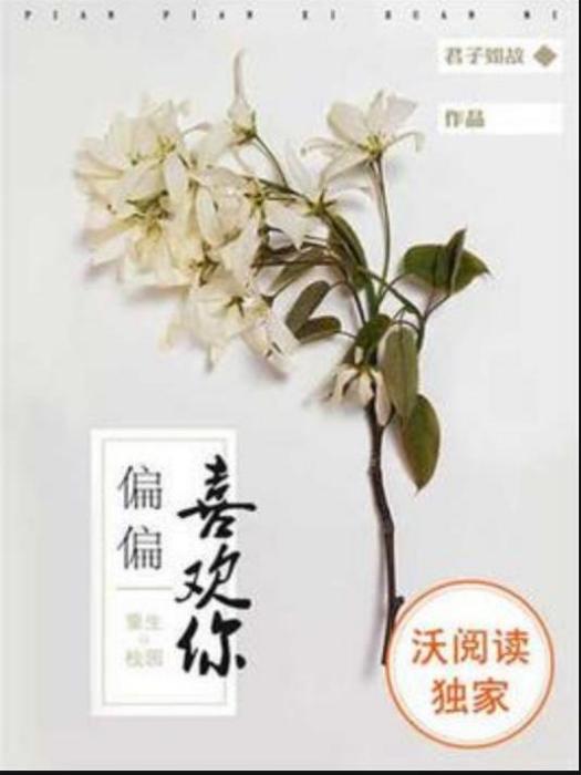 偏偏喜歡你(君子如故所著小說)