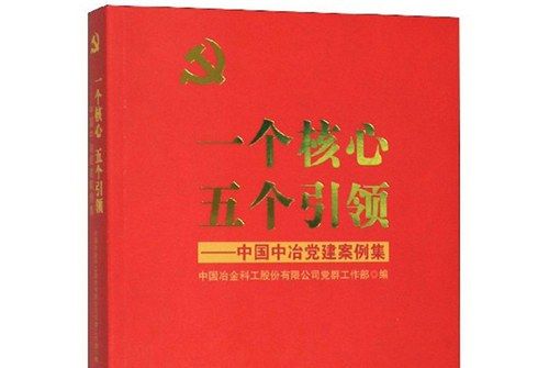 一個核心五個引領：中國中治黨建案例集