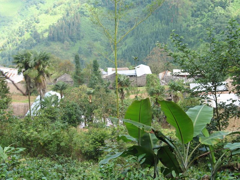 芒東山二組自然村