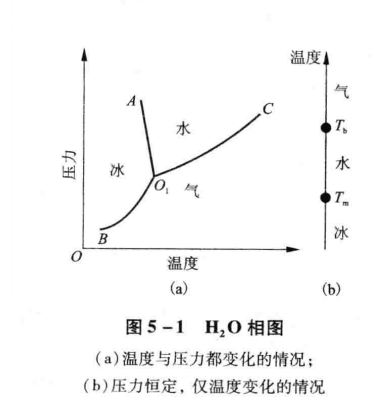 單元系