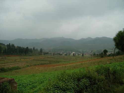 海龍村(雲南省晉寧縣海龍村)