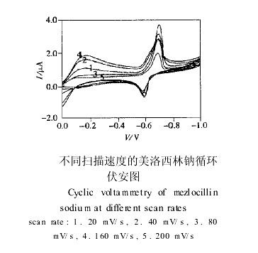 不同掃描速度的循環伏安圖