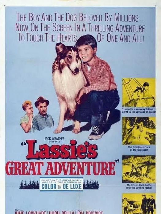 萊西大冒險(Lassie's Great Adventure)