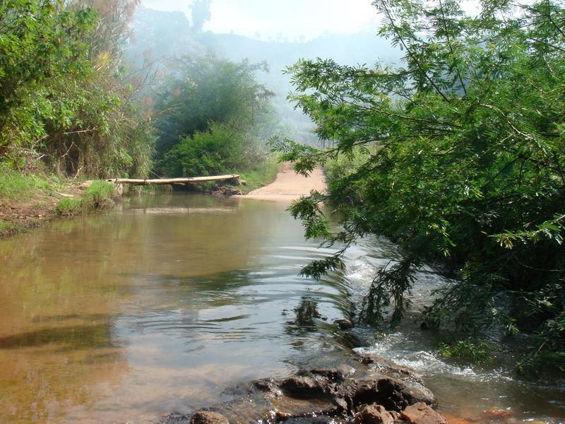 茶樹林自然村(雲南省普洱思茅區南屏鎮南島河茶樹林自然村)