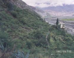 東川站後山生物防治後