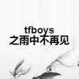 tfboys之雨中不再見