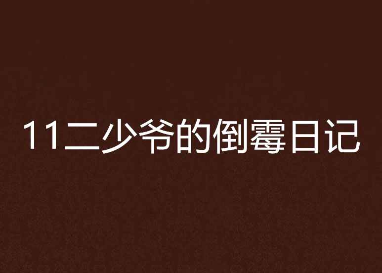 11二少爺的倒霉日記