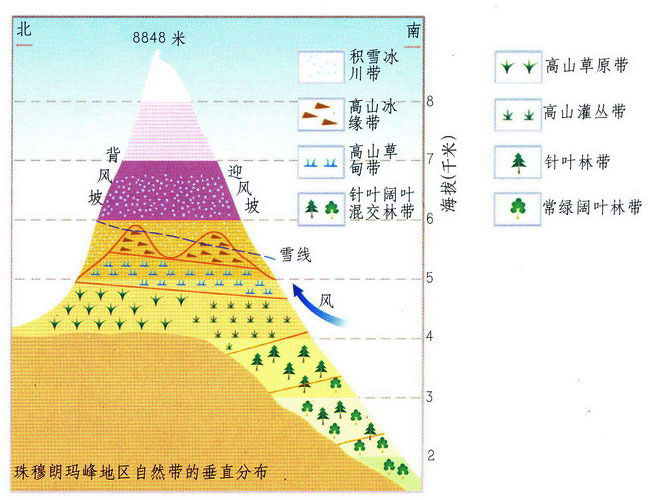 垂直地帶性