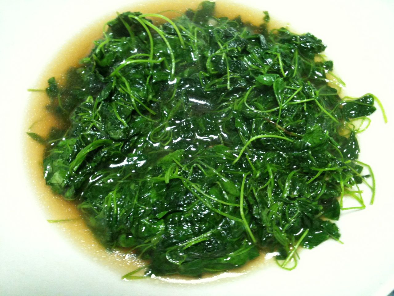 蚝油金花菜