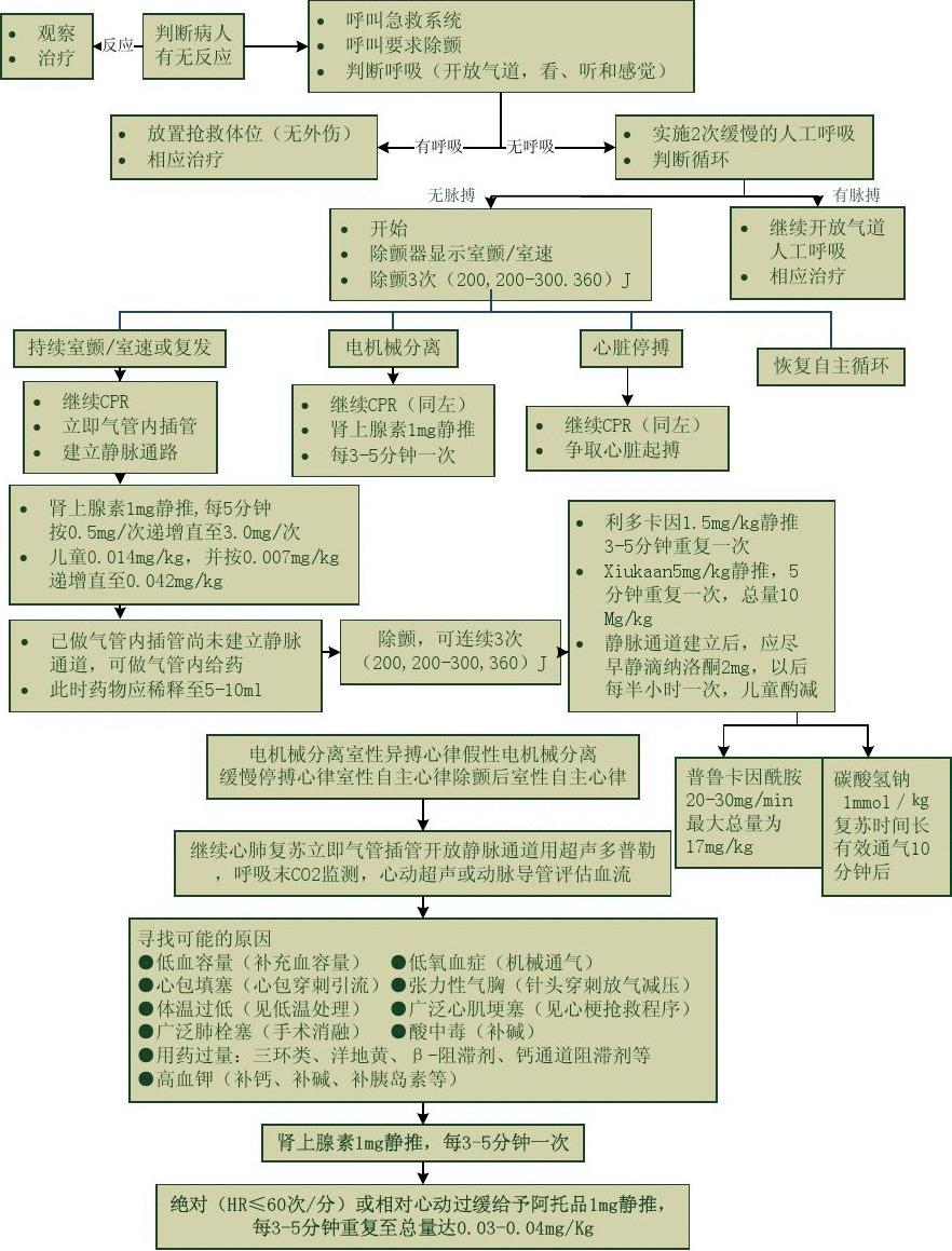 心跳呼吸驟停