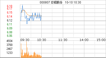 雲鋁股份[000807]