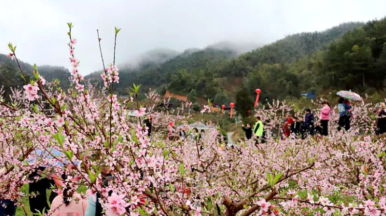 湖南新化龍灣國家濕地公園