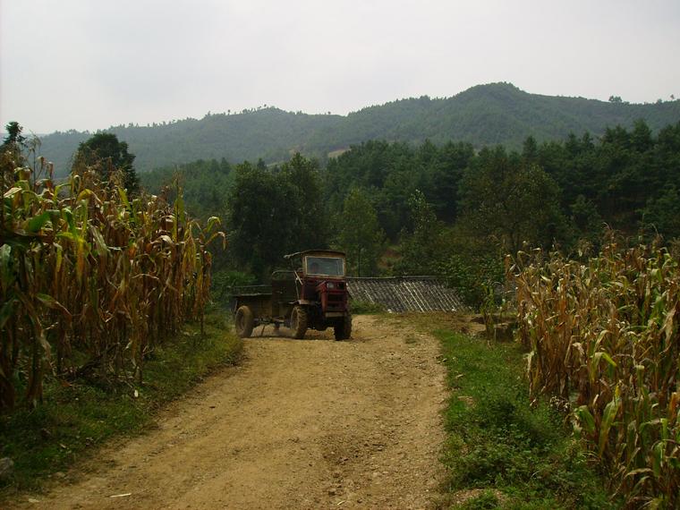 白岩自然村