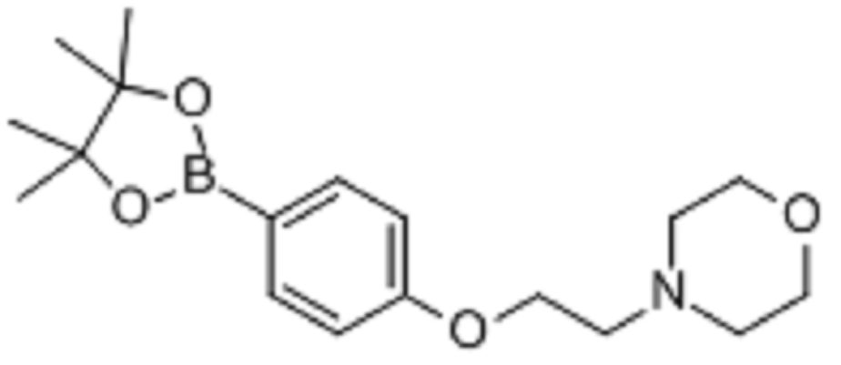 4-（2-嗎啉乙氧基）苯基硼酸頻哪醇酯