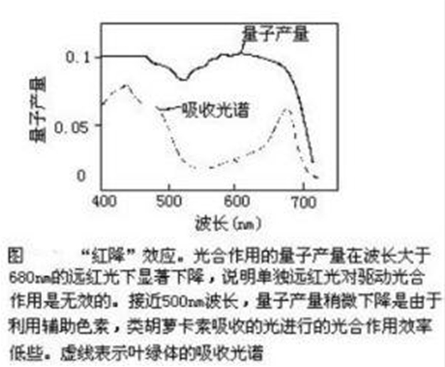 紅降現象