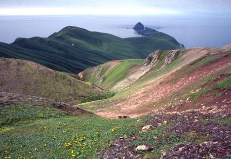 布爾迪爾島