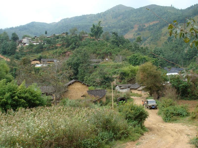 冷水箐村(楚雄市子午鎮雲龍村委會下轄村)