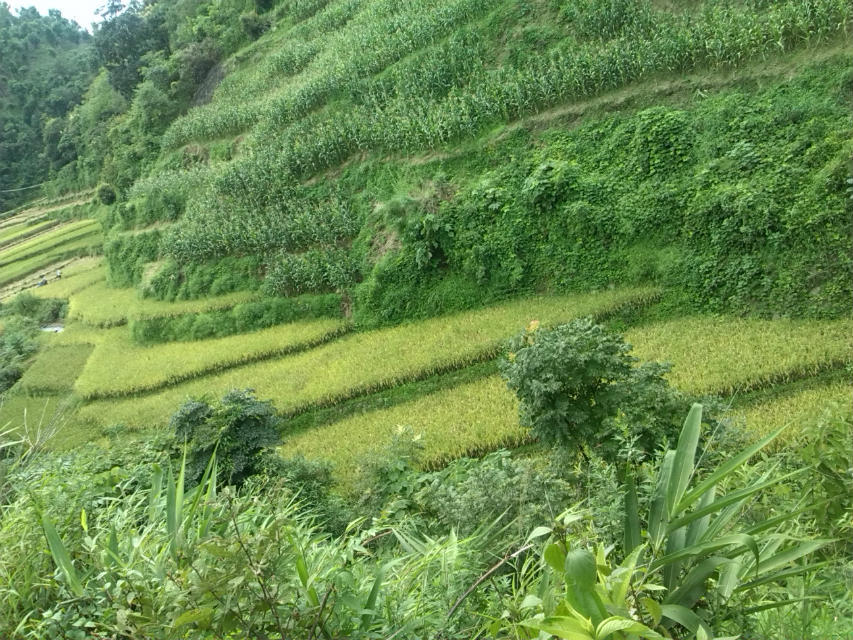 老龍溝村