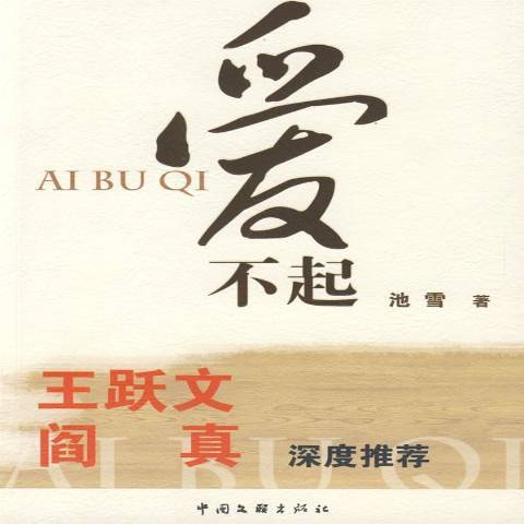 愛不起(2009年中國文聯出版社出版的圖書)