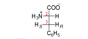 C2上的氫原子