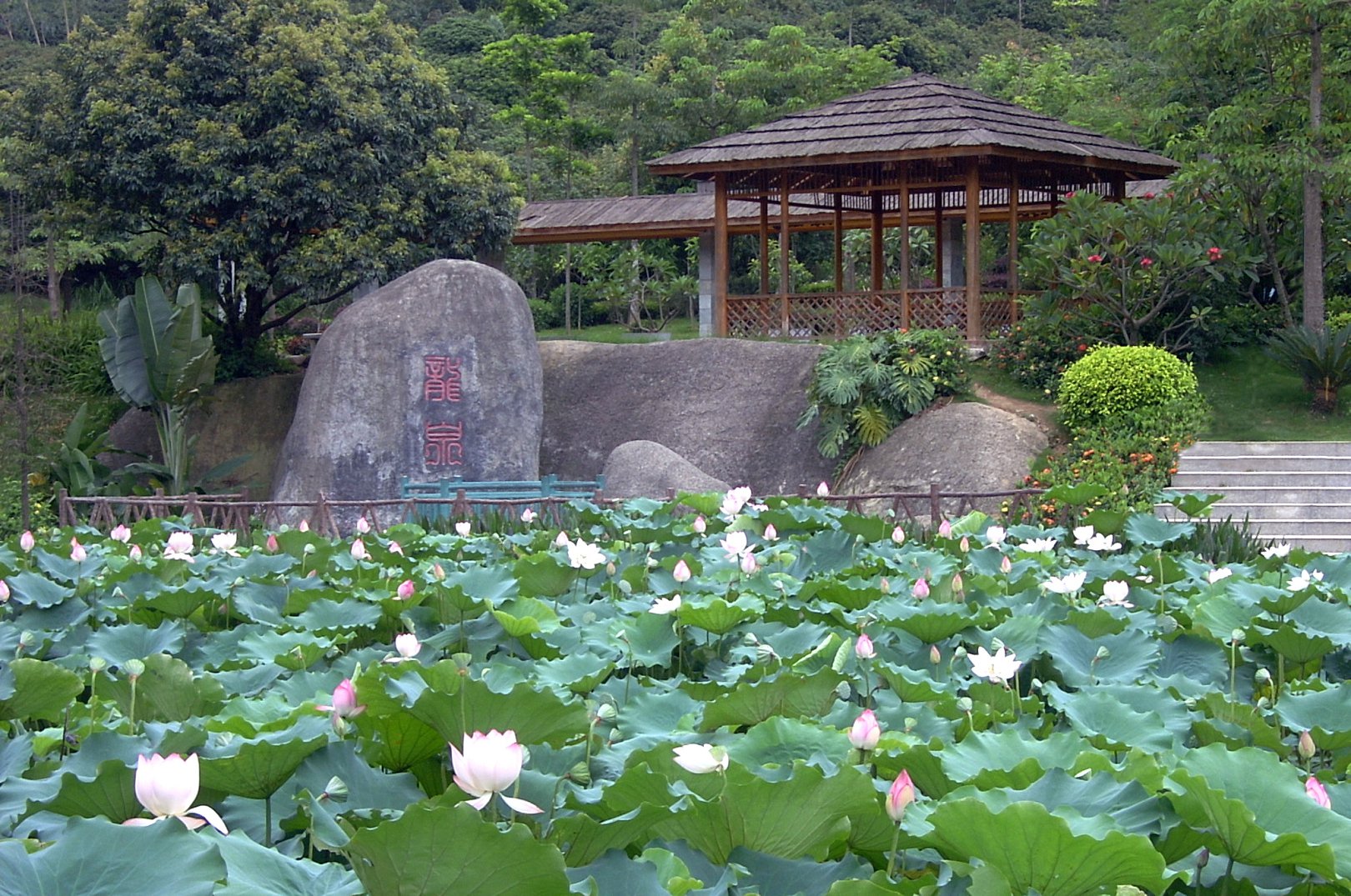 龍城公園