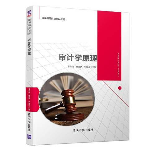 審計學原理(2020年清華大學出版社出版的圖書)