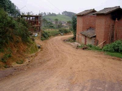 入村道路