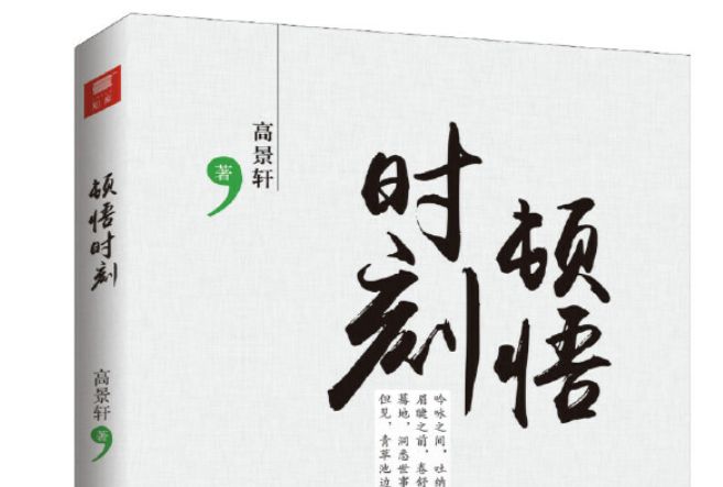 頓悟時刻(2020年中國國際廣播出版社出版的圖書)