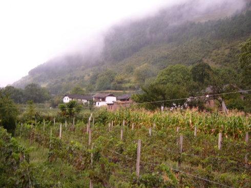 茨雲村