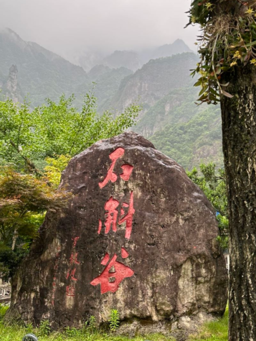 雁盪山石斛谷