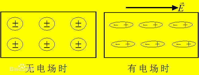 有極分子