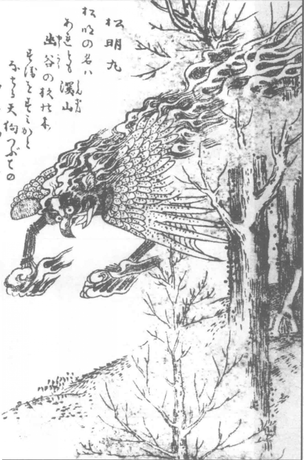 松明丸