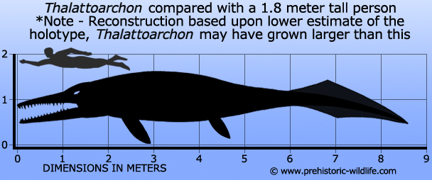 Thalattoarchon saurophagis