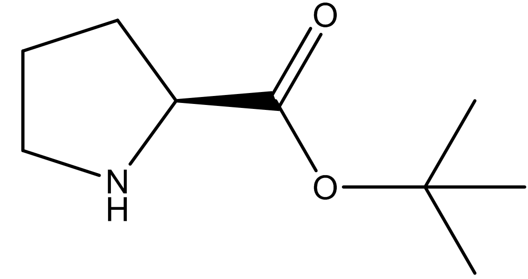 L-脯氨酸叔丁酯