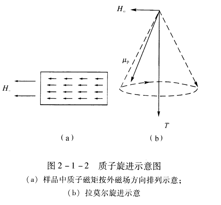 質子旋進示意圖