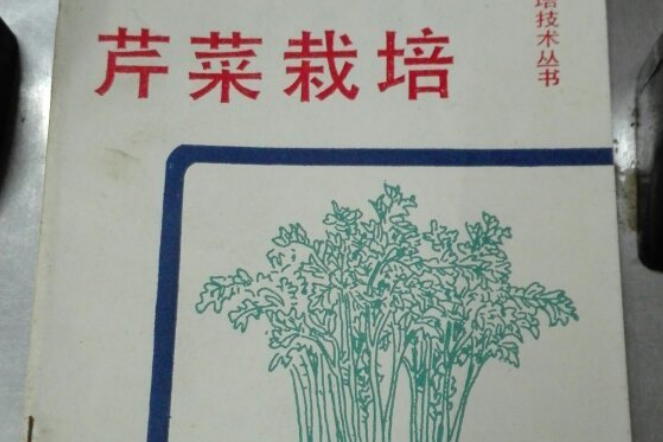 芹菜栽培