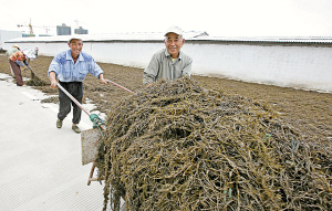 浙江金海蘊生物有限公司