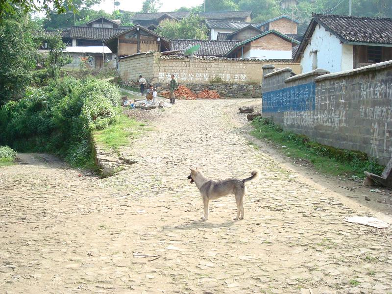 岳景村