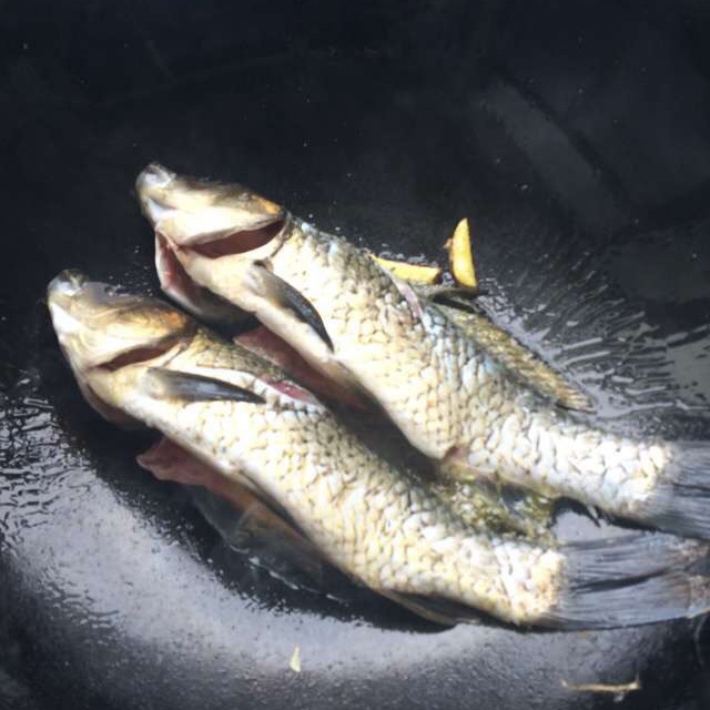 鯽魚奶白濃香豆腐湯