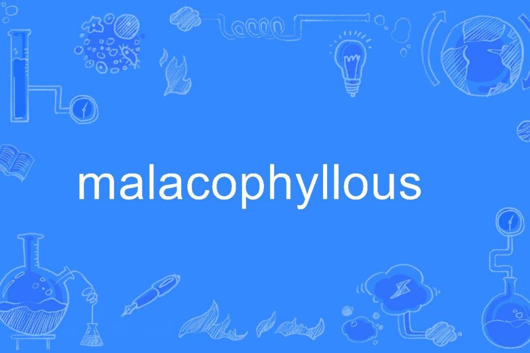 malacophyllous